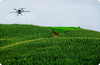 Розсіювання гранул і насіння